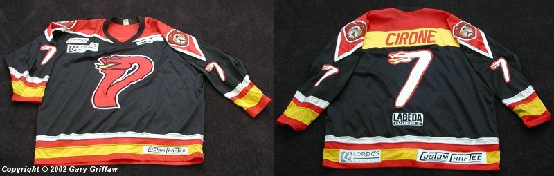 st louis vipers jersey